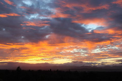 Gallin Farm Alpacas And Farmstay - Accommodation New Zealand 1