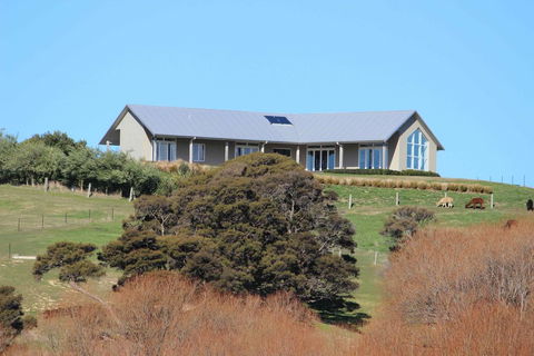 Gallin Farm Alpacas And Farmstay - Accommodation New Zealand 2