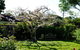 Garden Retreat - thumb 0