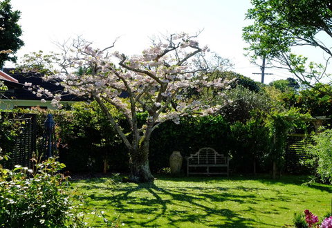 Garden Retreat - Accommodation New Zealand 0