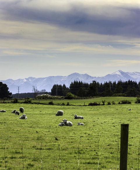 Gem Bed And Breakfast - Accommodation New Zealand 3