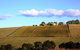 Gillman Vineyard - Matakana Holiday Home - thumb 2