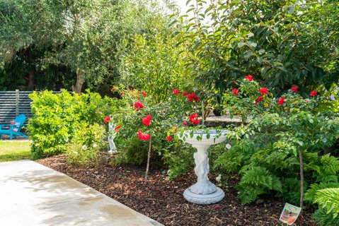 Glenbervie Bed & Breakfast - Accommodation New Zealand 3