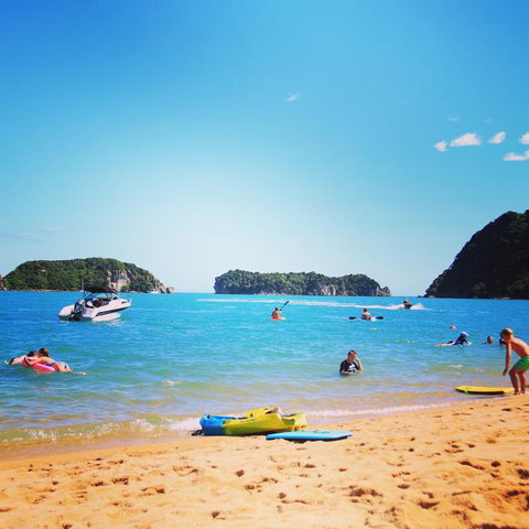 Grandad Shack - Accommodation New Zealand 3