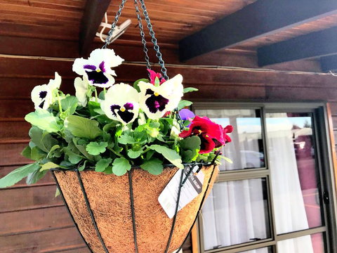 Grange Motel - Accommodation New Zealand 2