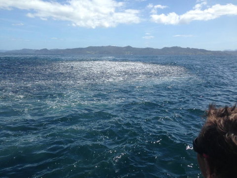 Hahei Beach Bach. - Accommodation New Zealand 3