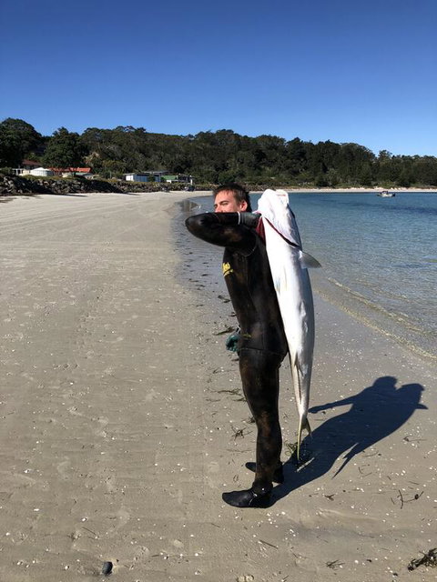 Hahei Beach Bach. - Accommodation New Zealand 2