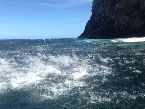 Hahei Beach Bach. - Accommodation New Zealand 1