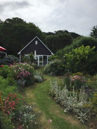 Hahei Kereru Cottage