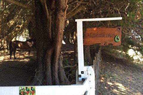 Hakakino Studio - Accommodation New Zealand 0