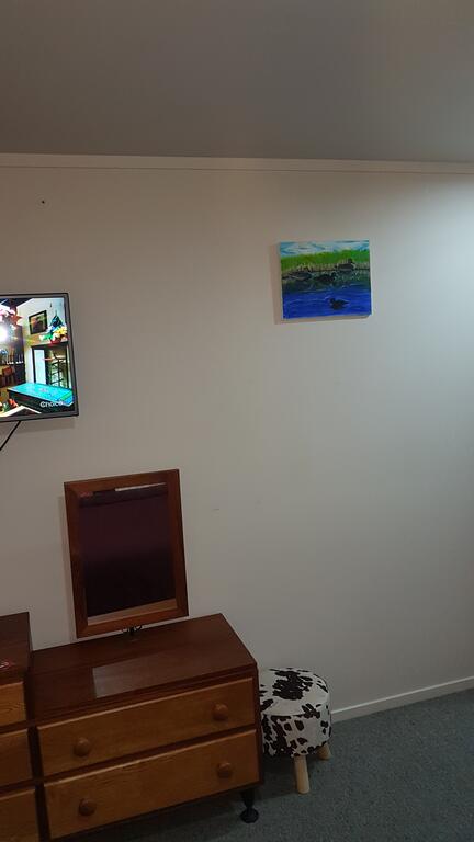 Hamilton Nz - Accommodation New Zealand 3