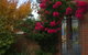 Havenlee Homestay - thumb 3