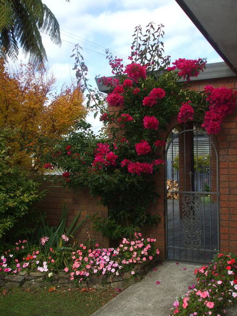Havenlee Homestay - Accommodation New Zealand 3