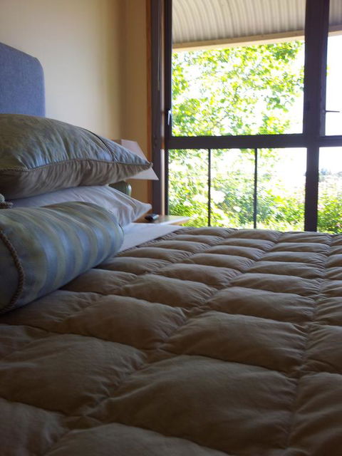 Hawkdun Rise Vineyard & Accommodation - Accommodation New Zealand 3