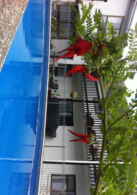 Hawks Inn Motel - Accommodation New Zealand 1
