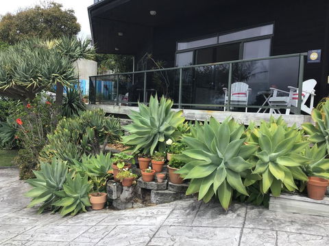 Heads Up - Accommodation New Zealand 0