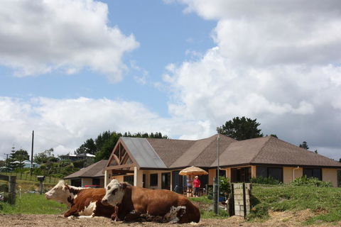 High Ridge House - Accommodation New Zealand 2