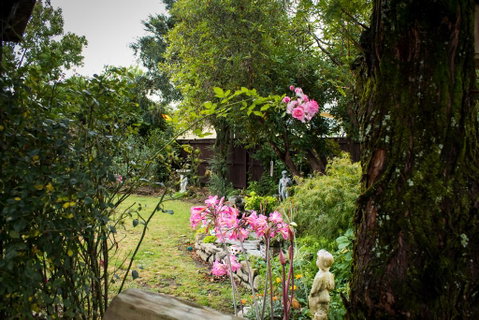Holland House Bed & Breakfast - Accommodation New Zealand 1