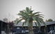Hugo & Carters Backpackers & Motel - thumb 0