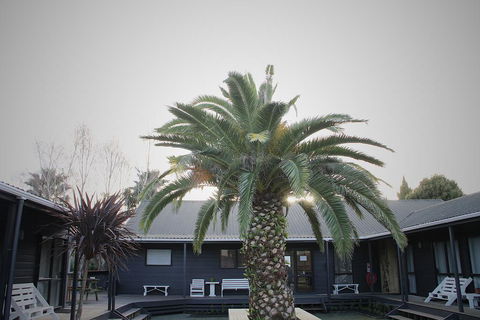 Hugo & Carters Backpackers & Motel - Accommodation New Zealand 0