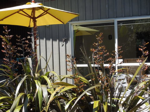 Island Breeze - Accommodation New Zealand 1