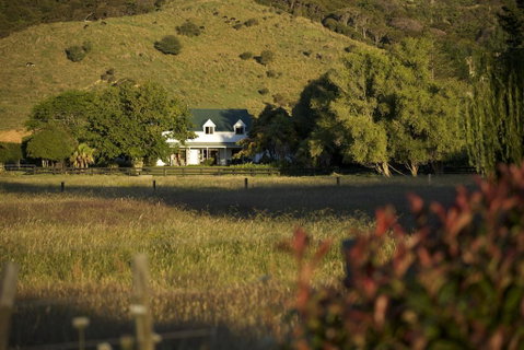 Jacaranda Lodge - Accommodation New Zealand 2