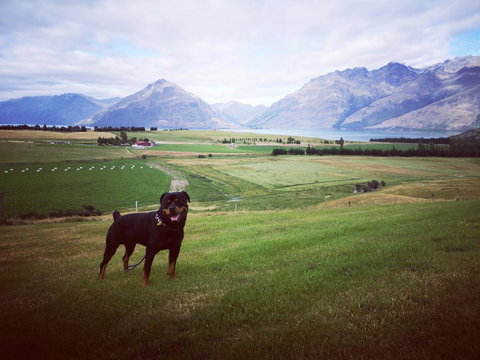 Jacks Point Family Homestay - Accommodation New Zealand 1