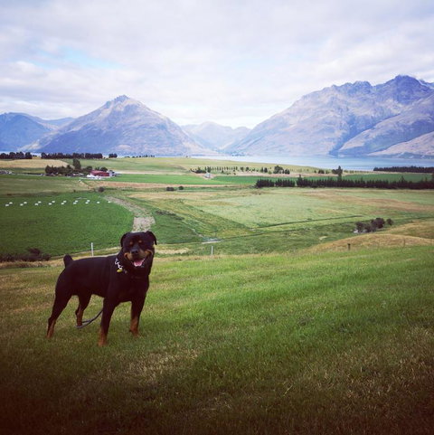 Jacks Point Family Homestay - Accommodation New Zealand 3