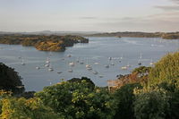 Jamieson Bay Views