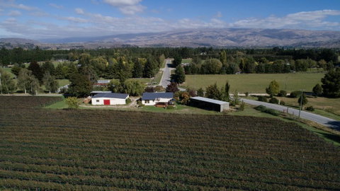 Judge Rock Exclusive Vineyard Cottage Accommodation - Accommodation New Zealand 1