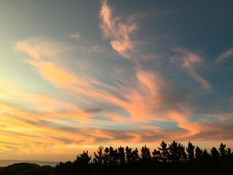 Kaipara Views Eco Lodge - Accommodation New Zealand 1