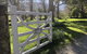 Kaituna Valley Homestead - thumb 2