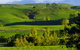 Kaiwera Warm Cozy Cottage - thumb 0