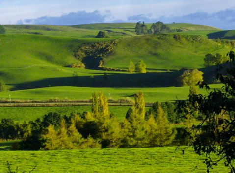 Kaiwera Warm Cozy Cottage - Accommodation New Zealand 0
