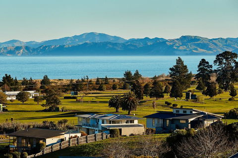 Kakatu Retreat - Accommodation New Zealand 1