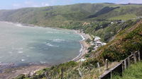 Kapiti Waves BB
