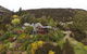 Kauri House Apartment - thumb 0
