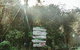 Kawai Purapura Yoga Retreat Centre - thumb 2