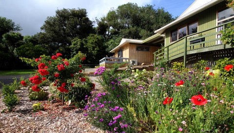 Kereru Cottage - Accommodation New Zealand 2
