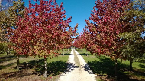 Korbaylen Estate - Accommodation New Zealand 0