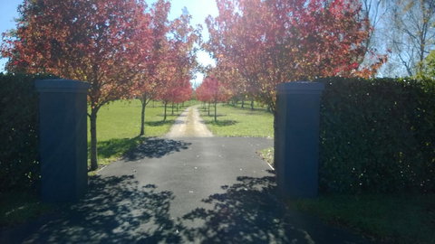 Korbaylen Estate - Accommodation New Zealand 2