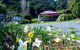 Koromiko Cottage At Lochsloy Farmstay Little River - thumb 2