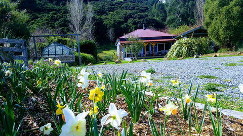 Koromiko Cottage At Lochsloy Farmstay Little River - Accommodation New Zealand 2