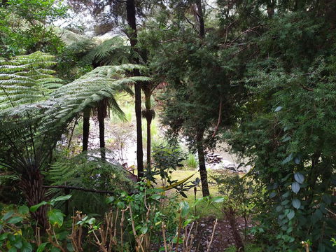 KORU RIVERSIDE RETREAT - Accommodation New Zealand 1