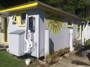 Kowhai Iti