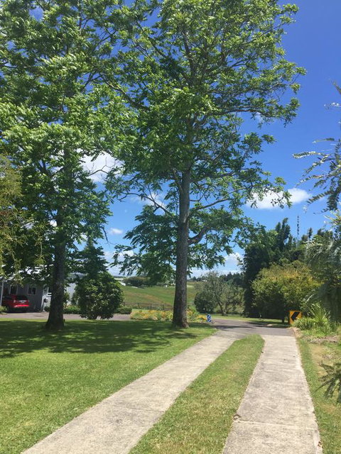 Kowhai Rest - Accommodation New Zealand 3