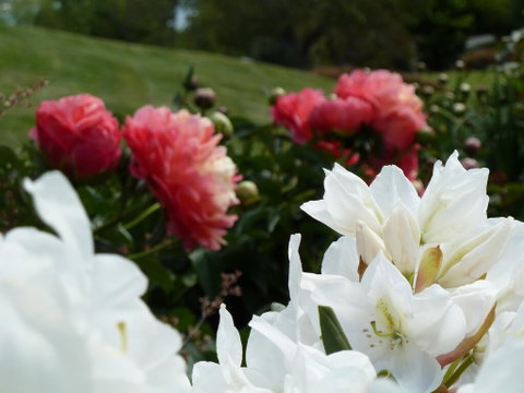 L'abri Bed And Breakfast - Accommodation New Zealand 1