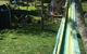 La Casita Waiheke - thumb 3