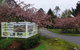 Lake Brunner Country Motel & Holiday Park - thumb 1