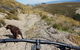 Lake Stella Mountain Huts - thumb 3